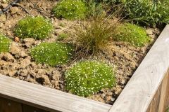 LES-JARDINS-DU-MONDE_13-05-2022_MARC-VIDAL_480P-142-1