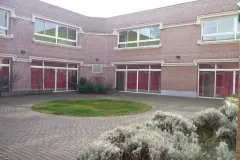 60-Les-orchidees-AVTPATHIO001