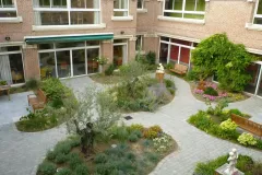 61-LES-ORCHIDEES-PATHIO-ROUBAIX-APRES1