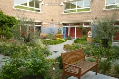 62-LES-ORCHIDEES-PATHIO-ROUBAIX-APRES3
