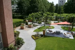 65-LES-ORCHIDEES-VA-APRES2