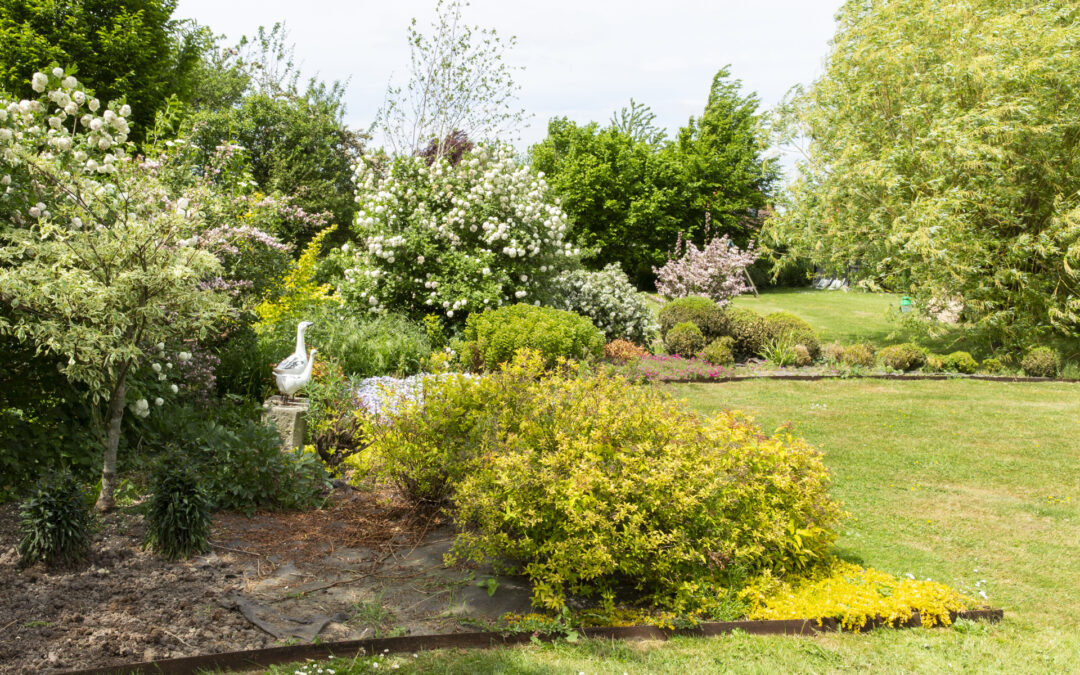 Jardinier paysagiste à Lille : faites de votre jardin un lieu de détente