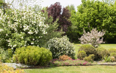 Création de jardin à Lesquin : les étapes essentielles pour un espace harmonieux