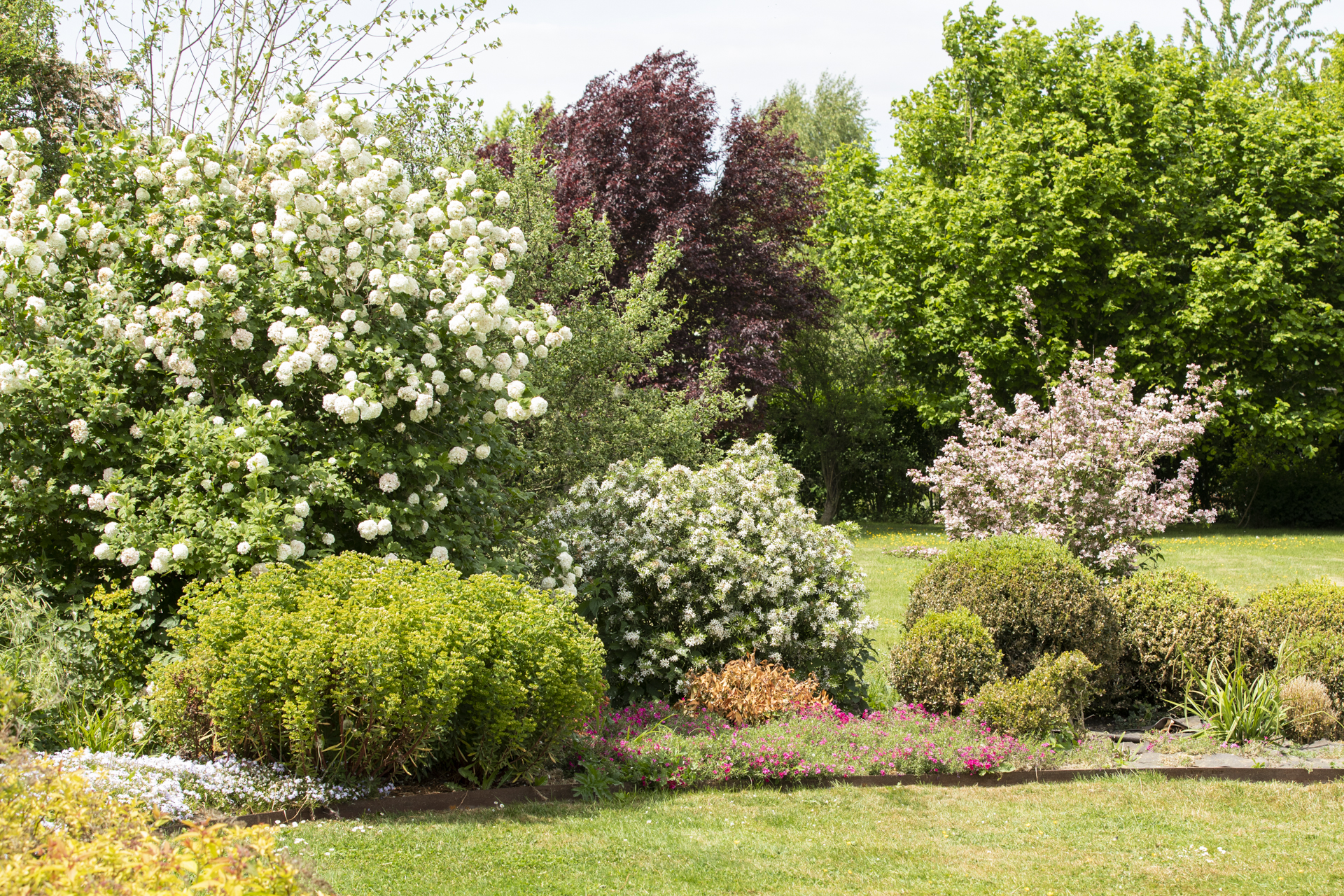 Création de jardin à Lesquin