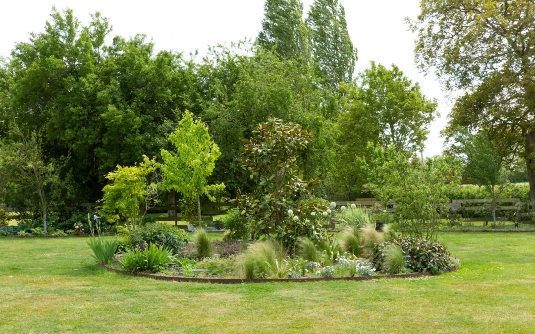 Plantation d’arbre à Villeneuve-d’Ascq : des arbres adaptés pour chaque espace
