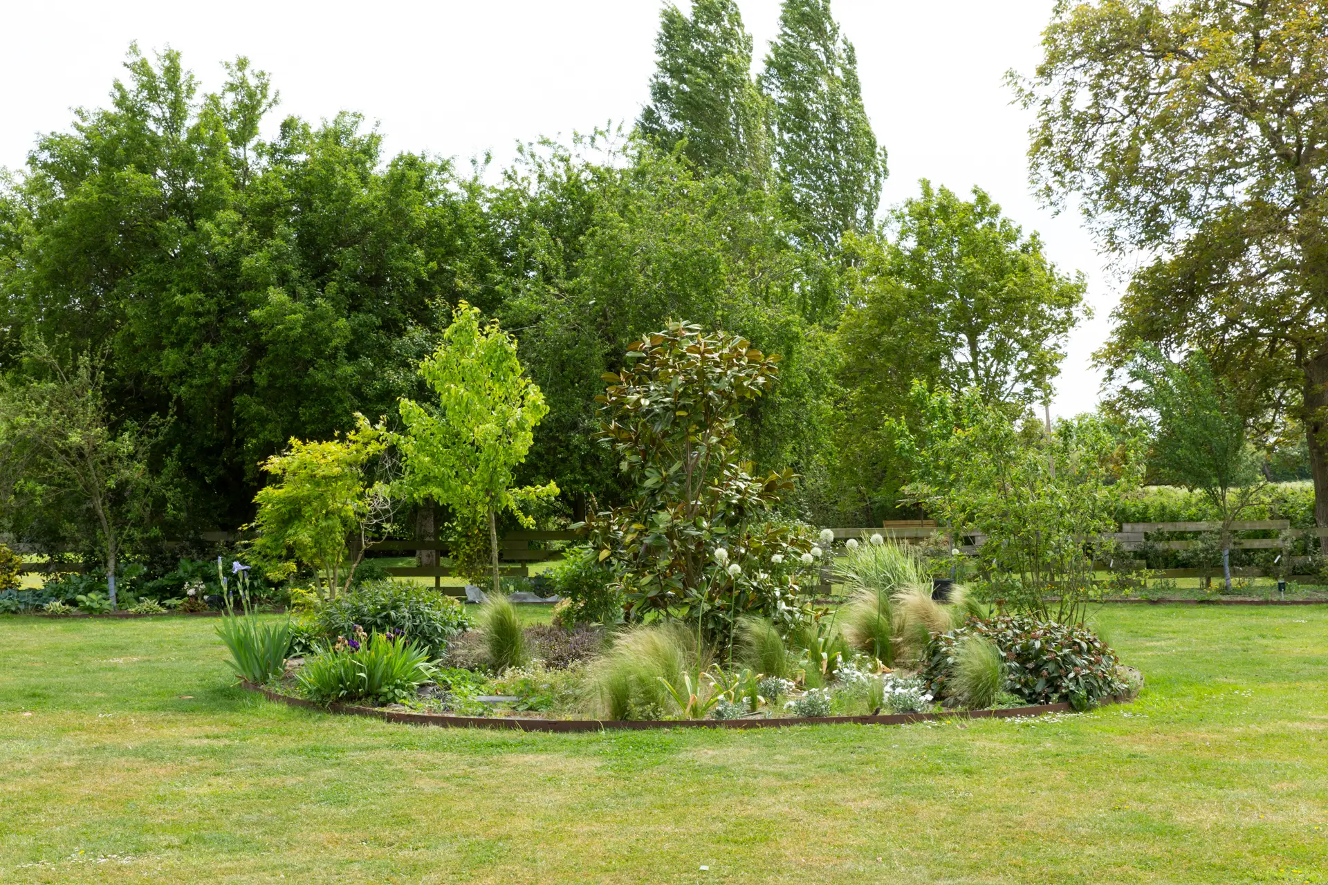 plantation d'arbre à Villeneuve-d'Ascq